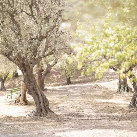 Domaine Des Gueules Cassees 3* La Valette-du-Var