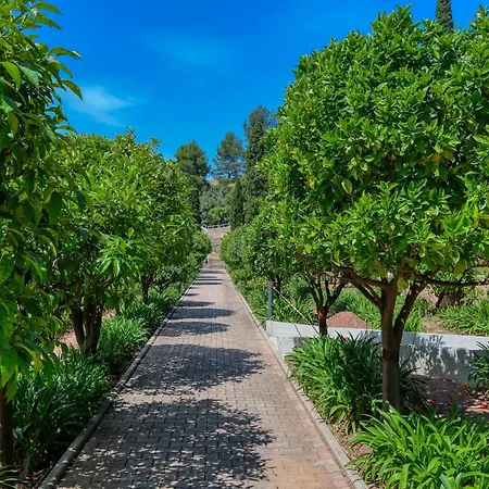 Domaine Des Gueules Cassees